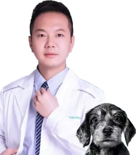 Medical instrument endoscope training (3)